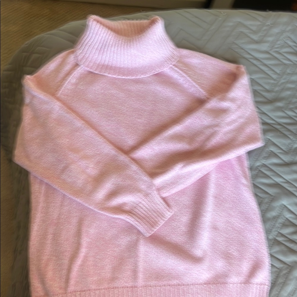 Karen Scott Pink Turtleneck Sweater